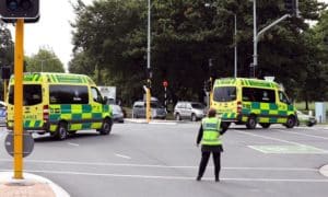 Read more about the article Tigers tour cancelled after Christchurch shooting