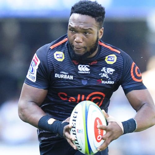 Bet on Sharks to beat Stormers