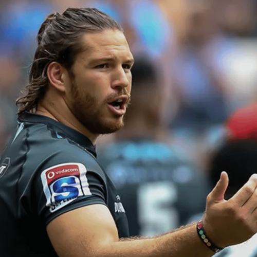 Louw blow for Sharks