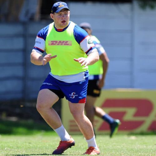 Kitshoff back, Willemse benched