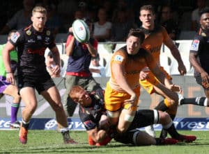 Read more about the article Jaguares feast on toothless Sharks