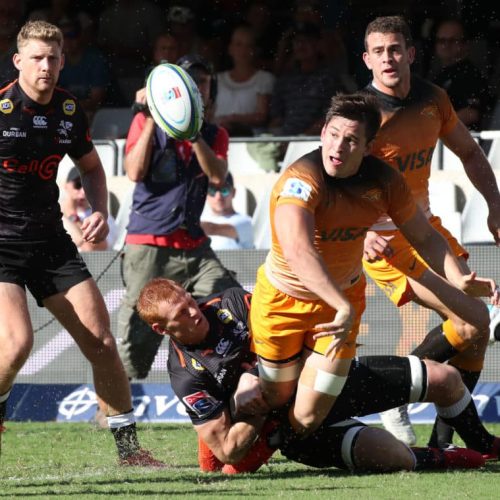 Jaguares feast on toothless Sharks