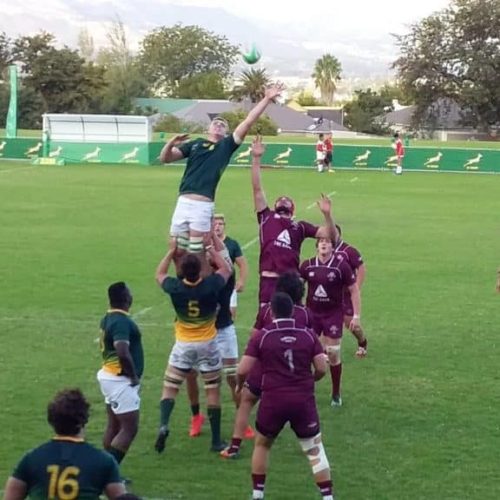Horn leads Junior Boks to big win