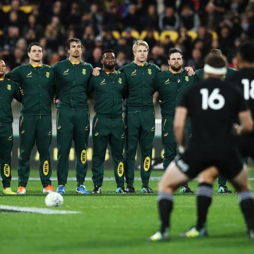 Springboks to mix and match