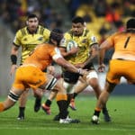 Jaguares