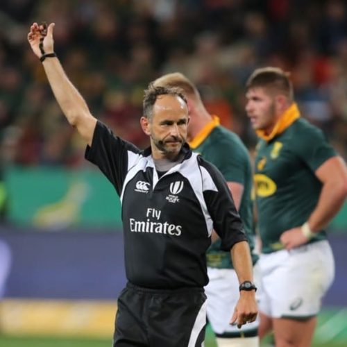 Poite, Berry to referee Bok Tests