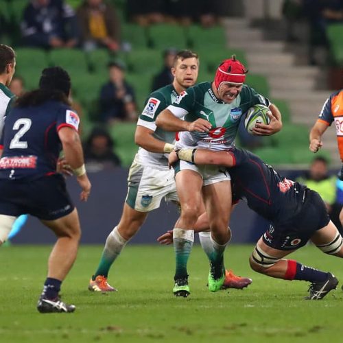 Gutsy Bulls punish Rebels