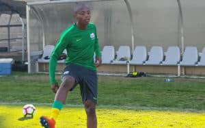 Read more about the article ‘I want to be the answer to Bafana’s scoring crisis’