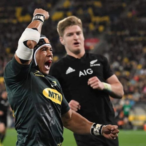 Five Springboks who punched World Cup tickets