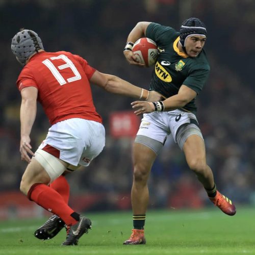 Springbok squad begins to take shape