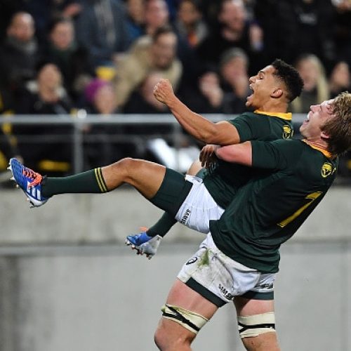 Erasmus: Boks lucky to escape with draw