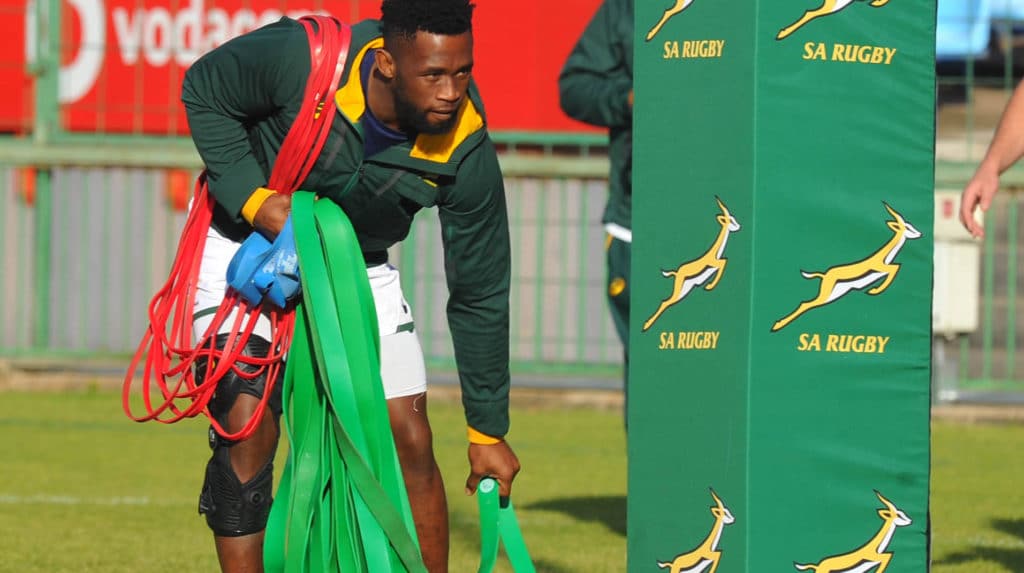 You are currently viewing Kolisi to miss Rugby Championship opener