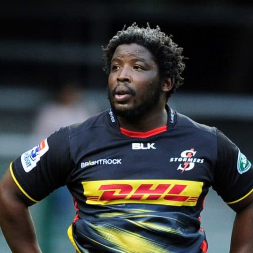 Ntubeni, Louw join Boks