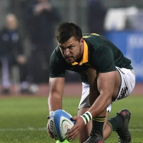 Boks must kick on in buildup to RWC
