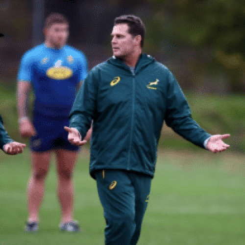 Swys de Bruin quits Springboks