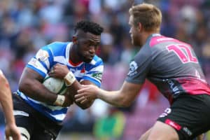 Read more about the article Kolisi makes steady return in Province win