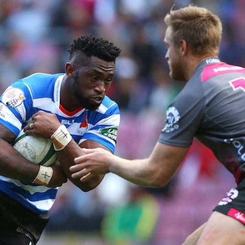 Kolisi makes steady return in Province win