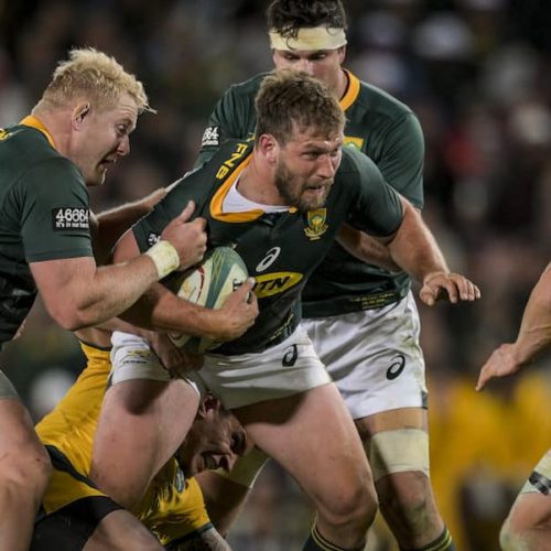 Frans Steyn has ‘wow factor’