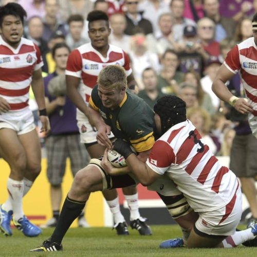 Springbok revenge hinges on breakdown success