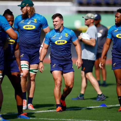 Brits to captain Boks at No 8