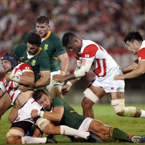 Springboks can’t afford to look beyond Japan