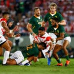 Springboks