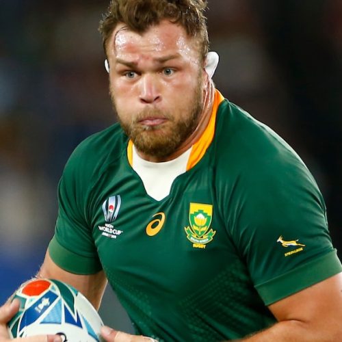 Vermeulen relishing loose-forward battle