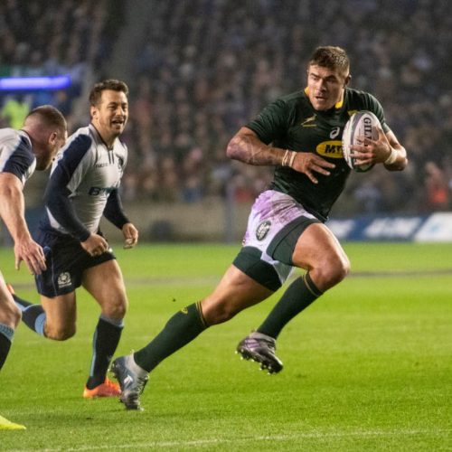 Springboks to front Scotland, Georgia in 2020