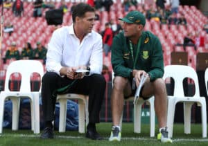 Read more about the article Nienaber primed for Bok top job