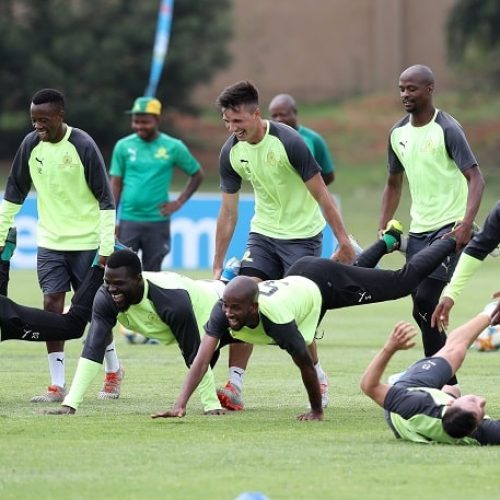 Watch: Sundowns look ahead to TKO final