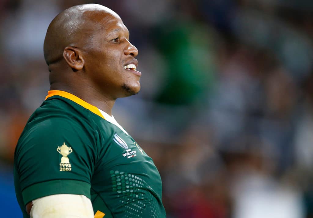 You are currently viewing Review: Springboks’ 2019 success stories
