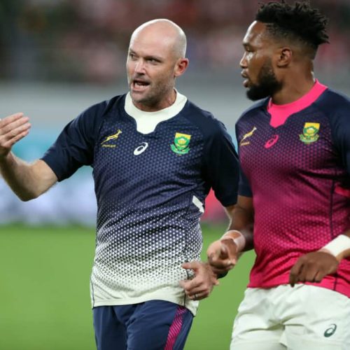 Delay in naming new Bok coach