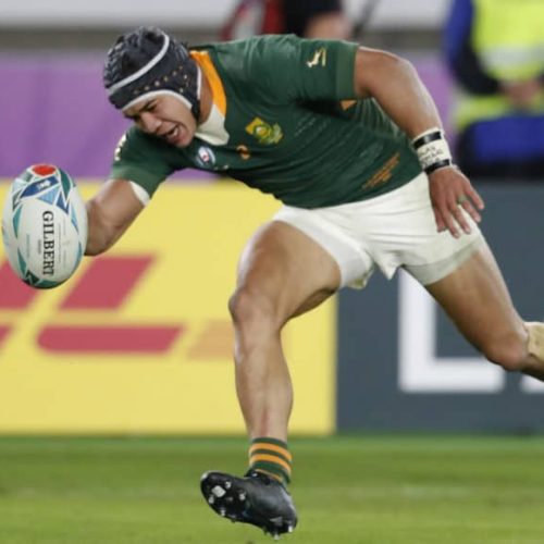 Top Boks dominate SA Rugby Awards nominations