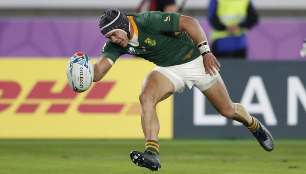 You are currently viewing Top Boks dominate SA Rugby Awards nominations