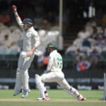 Proteas