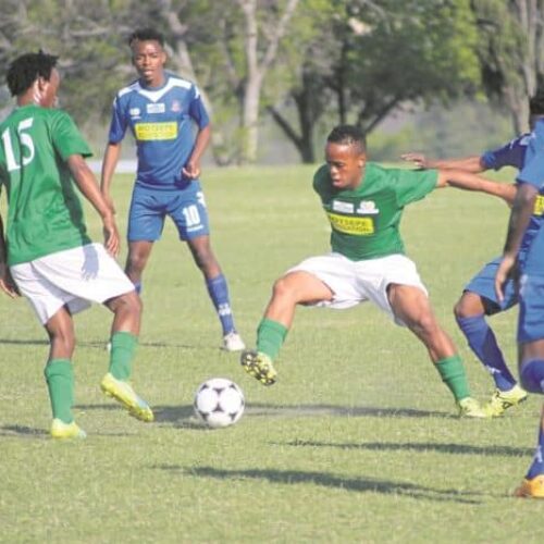Who are the Motsepe League clubs participating in the Nedbank Cup?