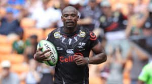 Read more about the article Sharks get triple Bok boost