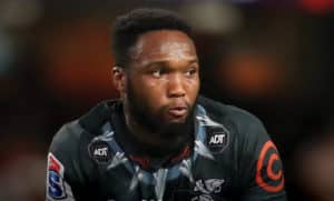 Read more about the article Sharks lose Am for four weeks