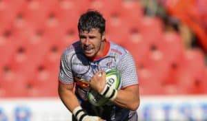 Read more about the article Nel to wing it for Stormers