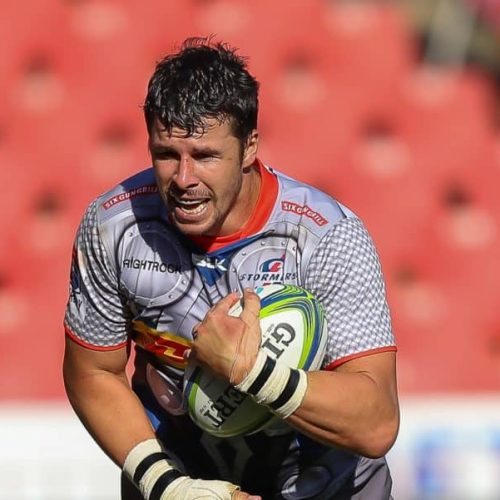 Nel to wing it for Stormers