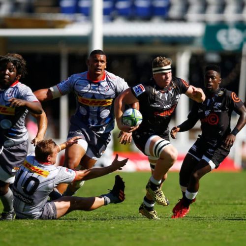 Sharks edge Durban arm-wrestle