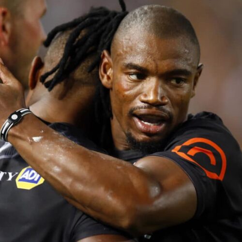 Bok wings back for Sharks