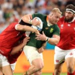 Springboks