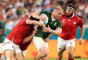 Read more about the article Koch: Future of the Boks looks bright