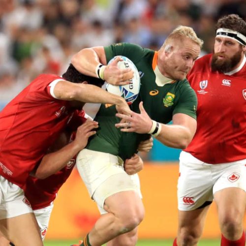 Koch: Future of the Boks looks bright