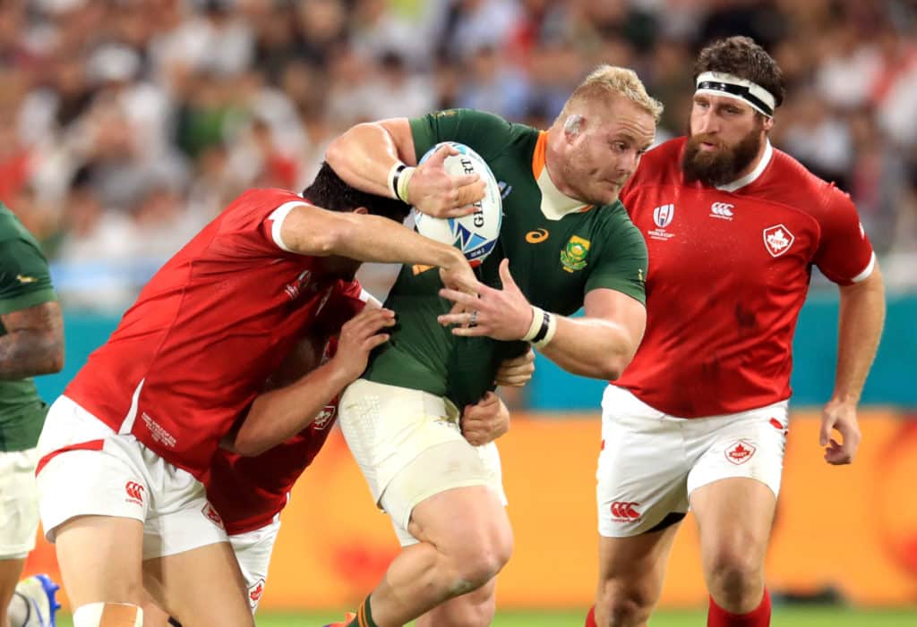 You are currently viewing Koch: Future of the Boks looks bright