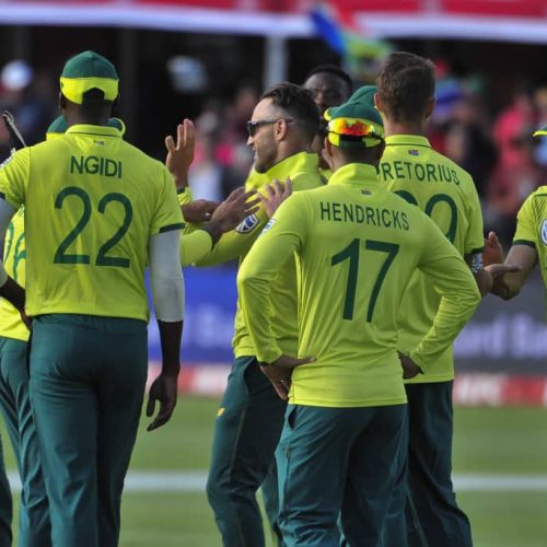 Proteas to be back on the pitch in two weeks