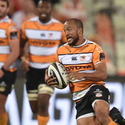 Cheetahs have earned PRO14 place