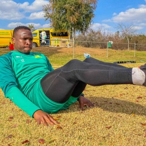 Pitso explains what Maluleka can offer Sundowns