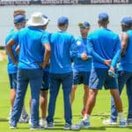 Proteas